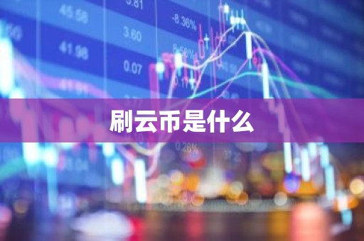 刷云币是什么