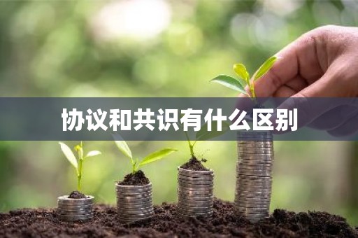 协议和共识有什么区别