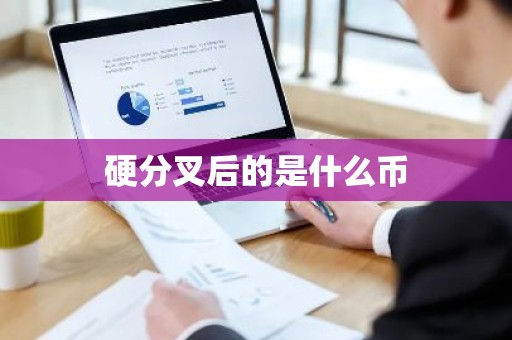 硬分叉后的是什么币