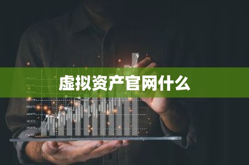 虚拟资产官网什么