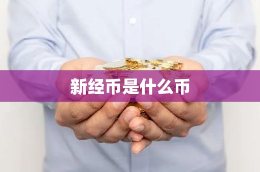新经币是什么币