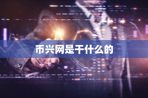 币兴网是干什么的