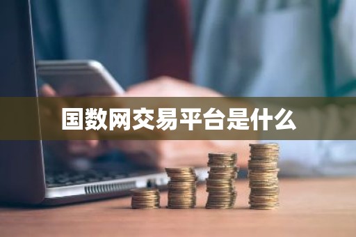 国数网交易平台是什么