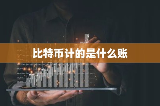 比特币计的是什么账