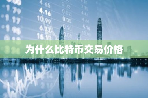 为什么比特币交易价格