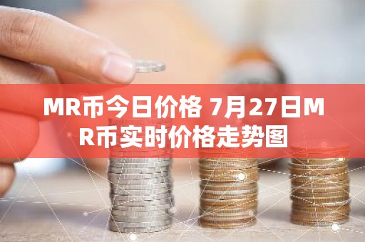 MR币今日价格 7月27日MR币实时价格走势图