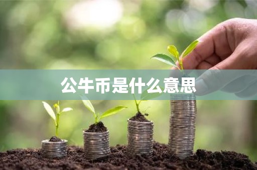 公牛币是什么意思