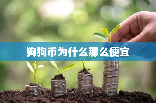 狗狗币为什么那么便宜