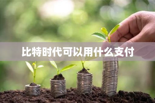 比特时代可以用什么支付