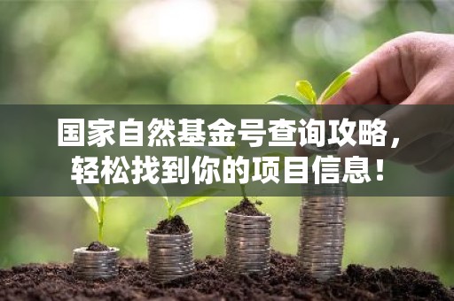 国家自然基金号查询攻略，轻松找到你的项目信息！