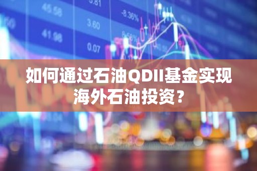 如何通过石油QDII基金实现海外石油投资？