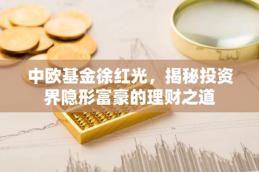 中欧基金徐红光，揭秘投资界隐形富豪的理财之道
