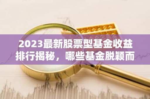 2023最新股票型基金收益排行揭秘，哪些基金脱颖而出？
