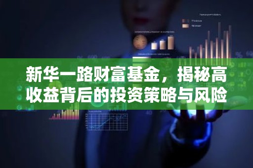 新华一路财富基金，揭秘高收益背后的投资策略与风险控制