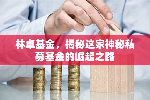 林卓基金，揭秘这家神秘私募基金的崛起之路