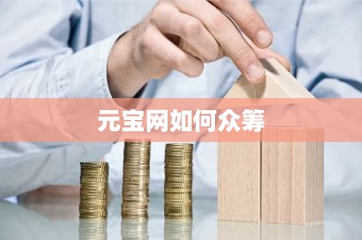 元宝网如何众筹