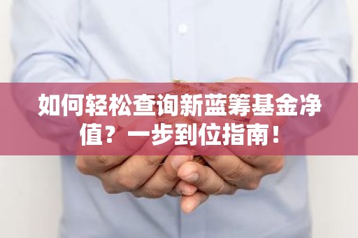 如何轻松查询新蓝筹基金净值？一步到位指南！