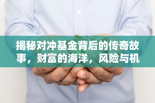 揭秘对冲基金背后的传奇故事，财富的海洋，风险与机遇并存