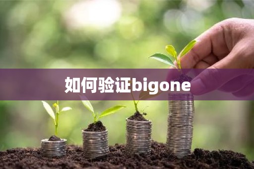 如何验证bigone