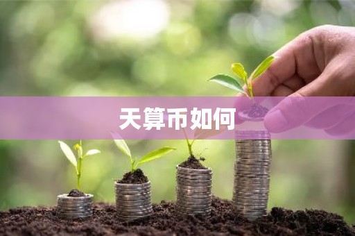 天算币如何