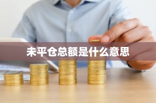 未平仓总额是什么意思
