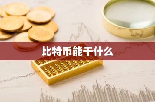 比特币能干什么