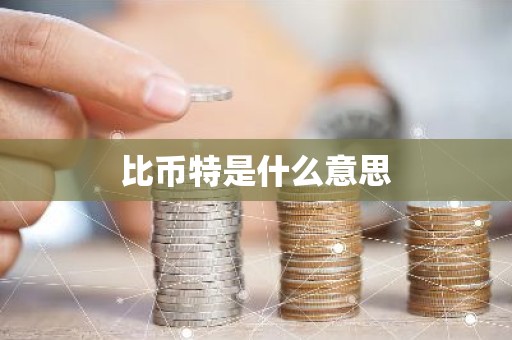 比币特是什么意思