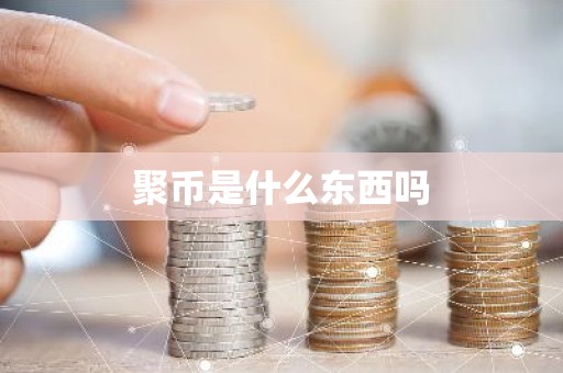 聚币是什么东西吗