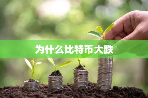 为什么比特币大跌