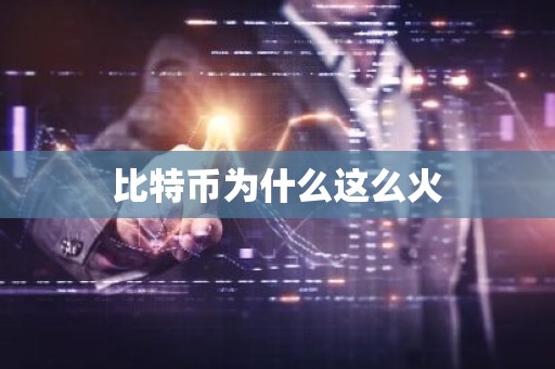 比特币为什么这么火