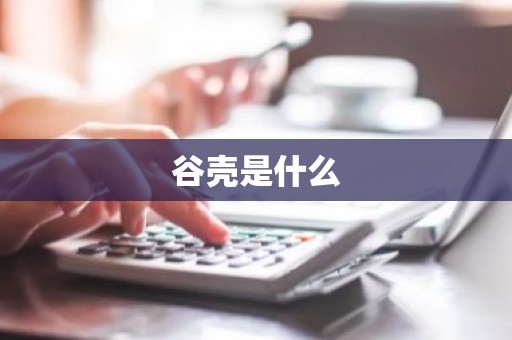 谷壳是什么