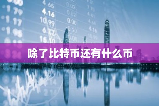 除了比特币还有什么币
