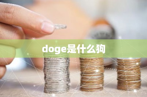 doge是什么狗