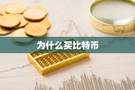 为什么买比特币
