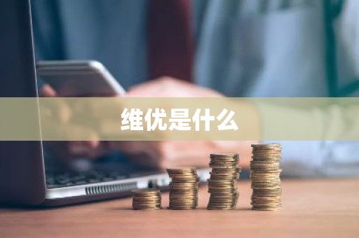 维优是什么