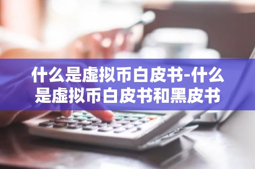 什么是虚拟币白皮书-什么是虚拟币白皮书和黑皮书