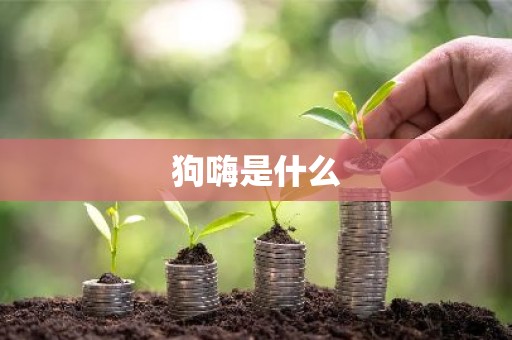 狗嗨是什么