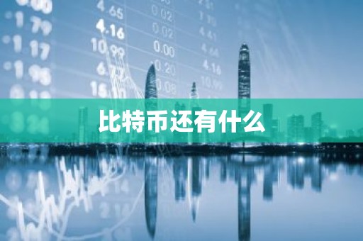 比特币还有什么