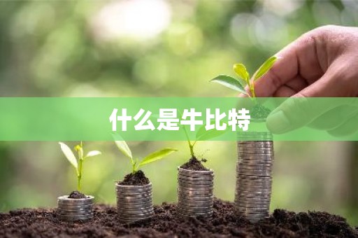 什么是牛比特