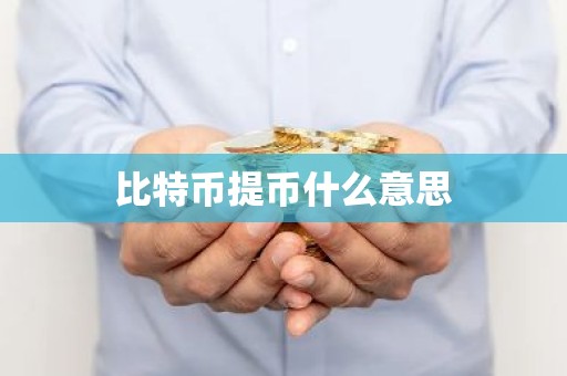 比特币提币什么意思