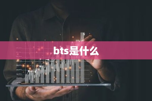 bts是什么