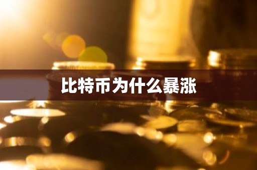 比特币为什么暴涨