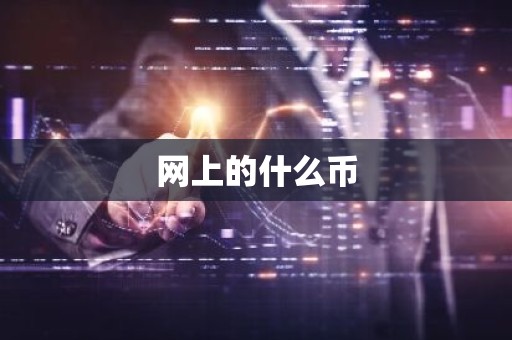 网上的什么币