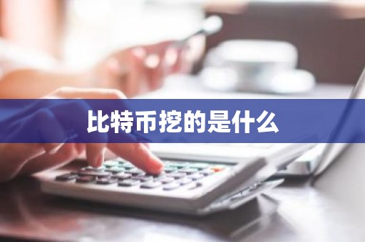 比特币挖的是什么