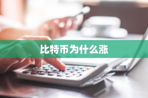 比特币为什么涨