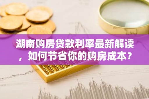 湖南购房贷款利率最新解读，如何节省你的购房成本？