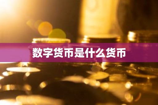数字货币是什么货币