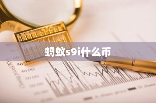 蚂蚁s9i什么币
