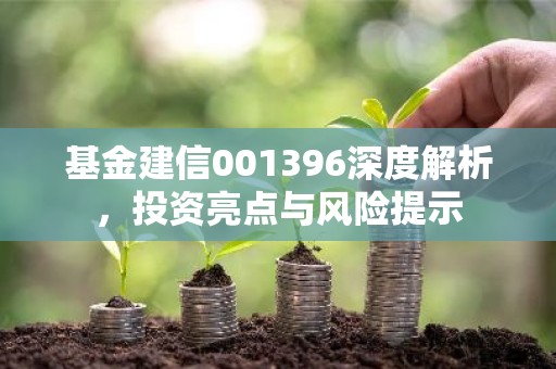 基金建信001396深度解析，投资亮点与风险提示