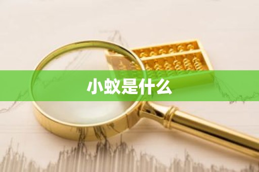 小蚁是什么